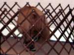Bronco_Billy_02