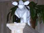 Ceramic Cow, which stared down at us in the cafe Roon brought us to for dinner. (FC2002)