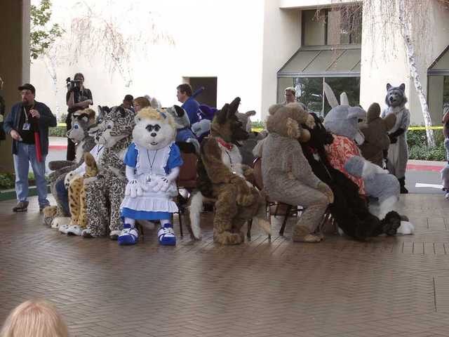 Critterlympics 1 - Part of the Musical Chairs competition. (FC2003)