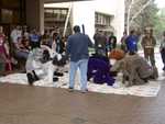 Critterlympics 2 - Furry Twister! (FC2003)