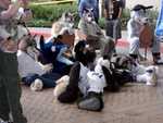 Critterlympics 4 - Another shot of the bystanders. (FC2003)