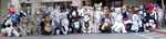 Parade 6 - Panoramic composite of everyone in the parade. (FC2003)