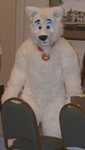 Hiku - This wolf was getting his Fursuiter ID badge I think. (FC2002)