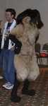 Napier - This one was dancing at the Sunday "Dead Dog Party". (FC2002)