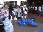 Laser Play - FC2004 Even faux-felines chase laser dots.

Resolution:320x240640x480
RealVideo Stream:
384k
768k
RealVideo Download:
1759Kb
3565Kb

