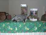 Bennet_the_Genet_02
