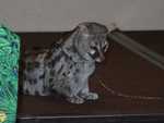 Bennet_the_Genet_09