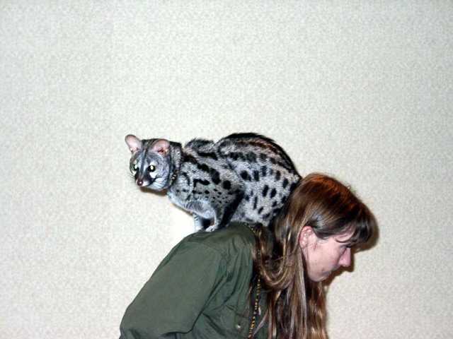 Bennet_the_Genet_12