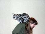 Bennet_the_Genet_12