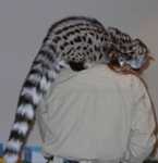 genet02