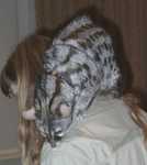 genet12