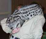 genet16