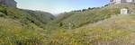 Highlight for Album: Panoramic Photos