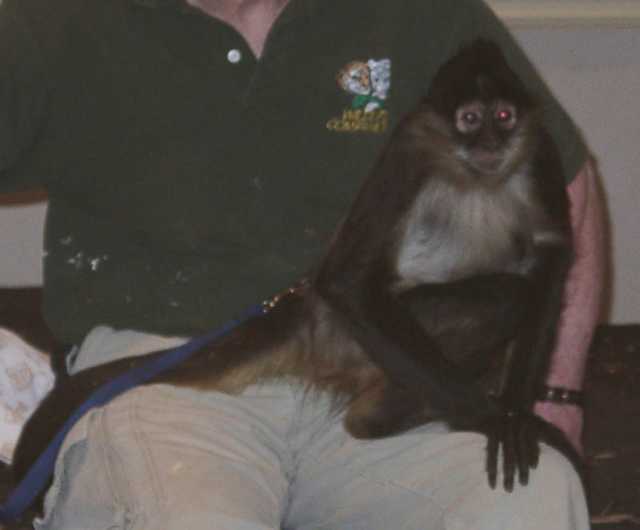 monkey05