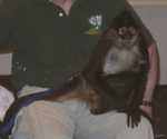 monkey05