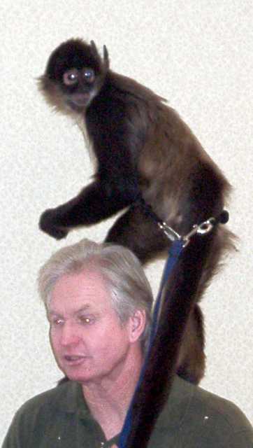 monkey-02