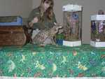 Kilaelae_the_Savanna_Cat_09