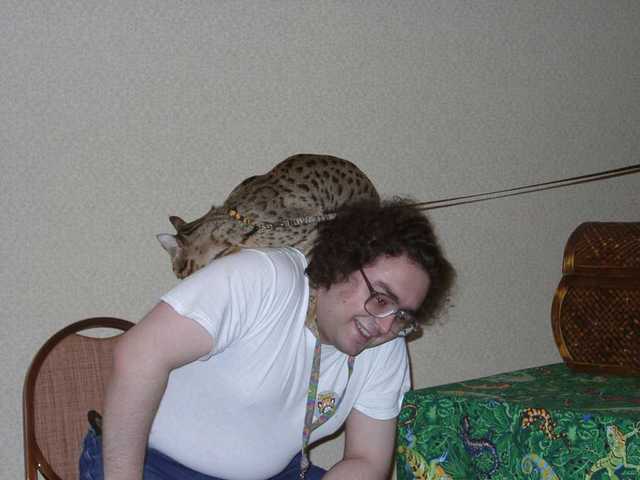 Kilaelae_the_Savanna_Cat_12