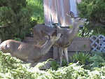 Mother doe and her older daughter come around to eat our plants.

Resolution:160x120320x240640x480
RealVideo Stream:
56k
128k
256k
512k
RealVideo Download:
1995Kb
5827Kb
13051Kb
26036Kb


