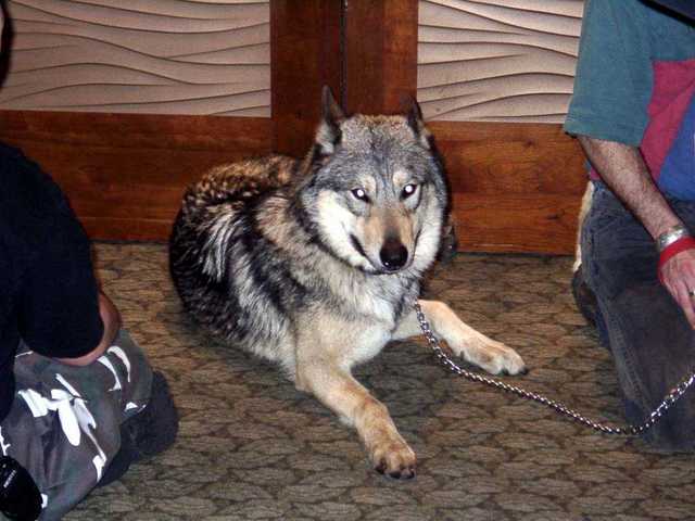 Timberwolves_Killian-01