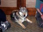 Timberwolves_Killian-01