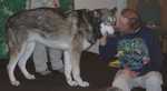 wolf13